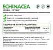Echinacea 500 мг 60 капсул купить в Москве