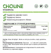 Choline 250 мг 60 капсул купить в Москве