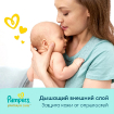 Подгузники Памперс Premium Care 3 (6-10 кг) 52 шт купить в Москве