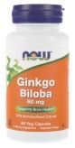 Ginkgo Biloba 60 мг купить в Москве